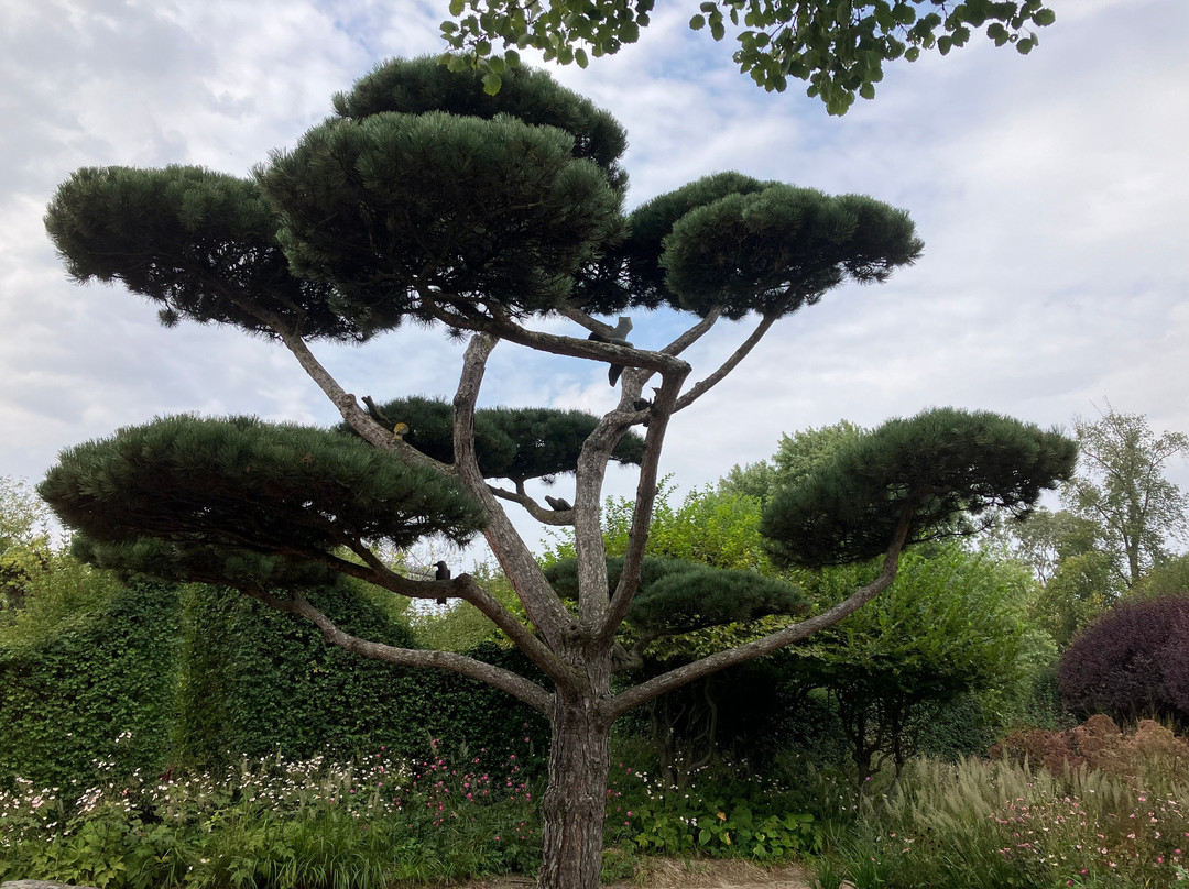 Bauernhof Wolf-Hof主图