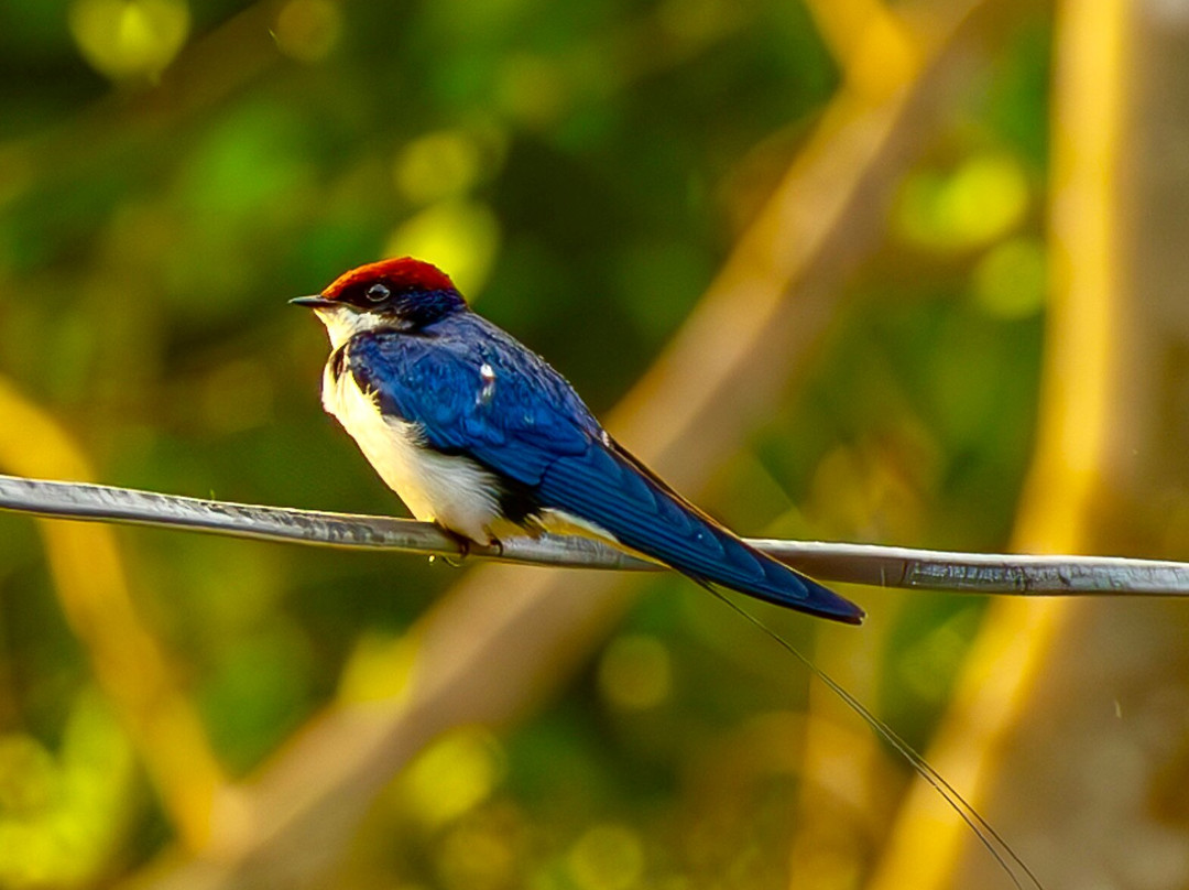 Serene Ravine Homestay主图