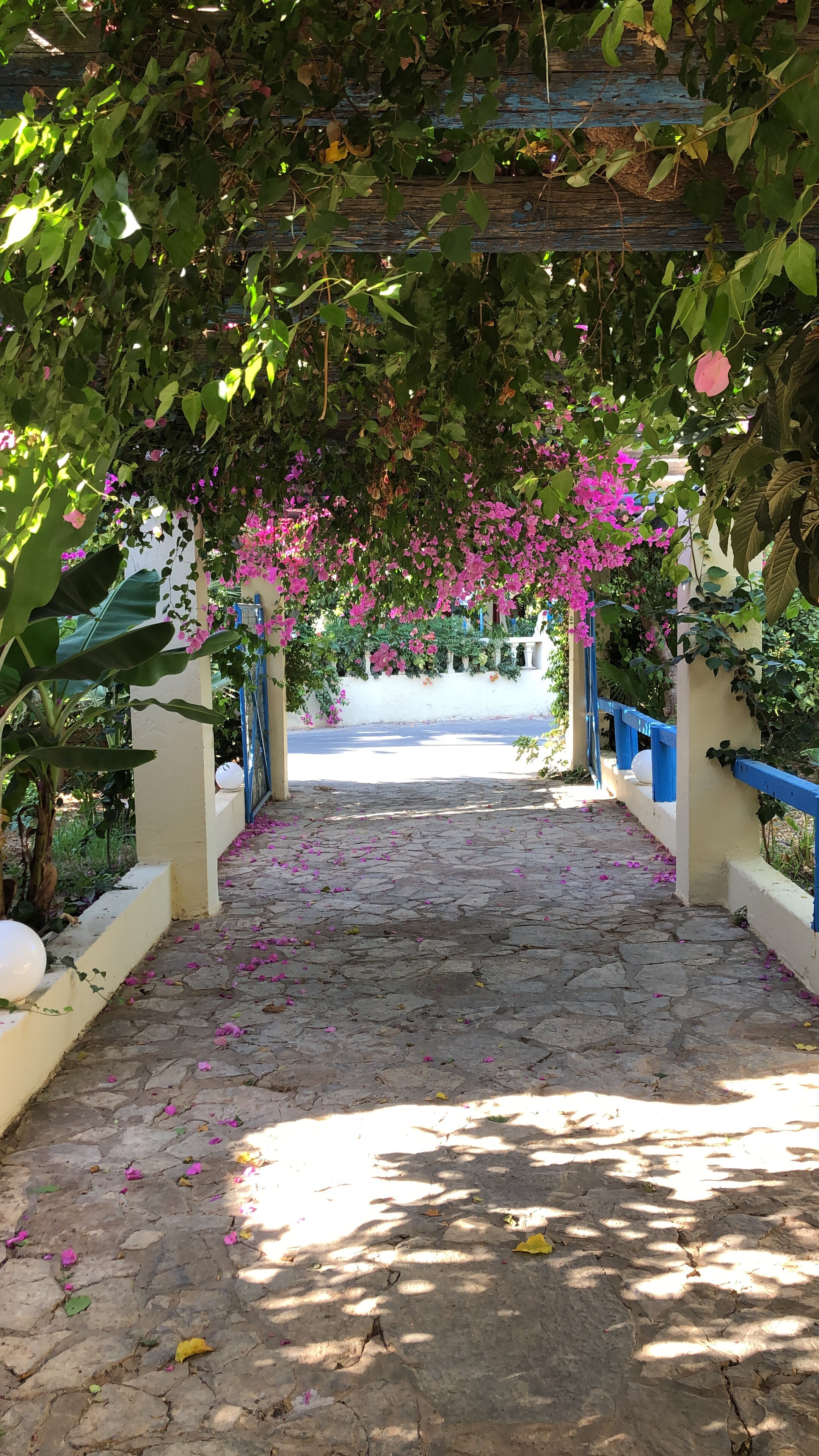 Palm Bay Hotel-官方