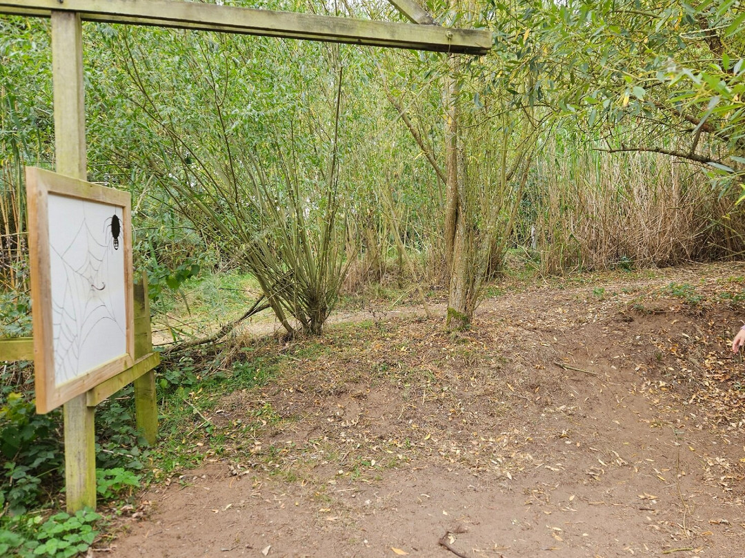 Wolds Way Lavender景点图片