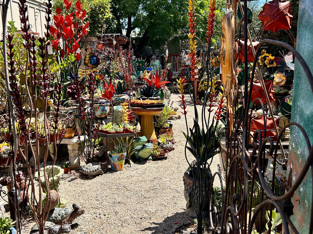 蒂梅丘拉旧城区-特曼库拉必去景点