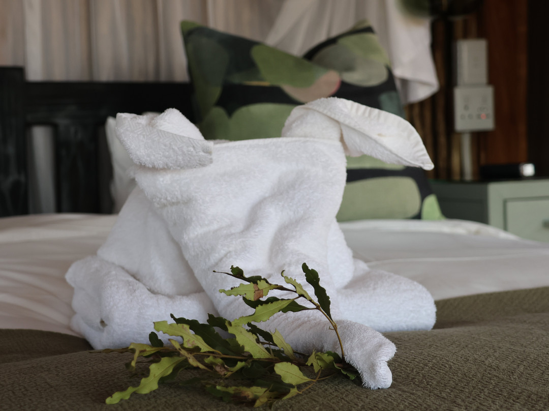 nThambo Tree Camp主图