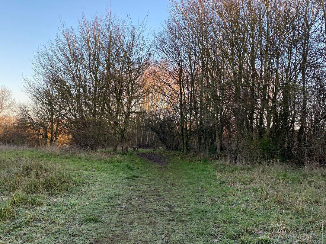 Castle Hill Country Park景点图片