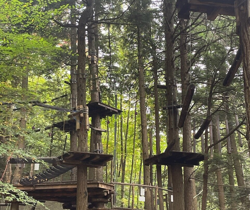 Ramblewild景点图片