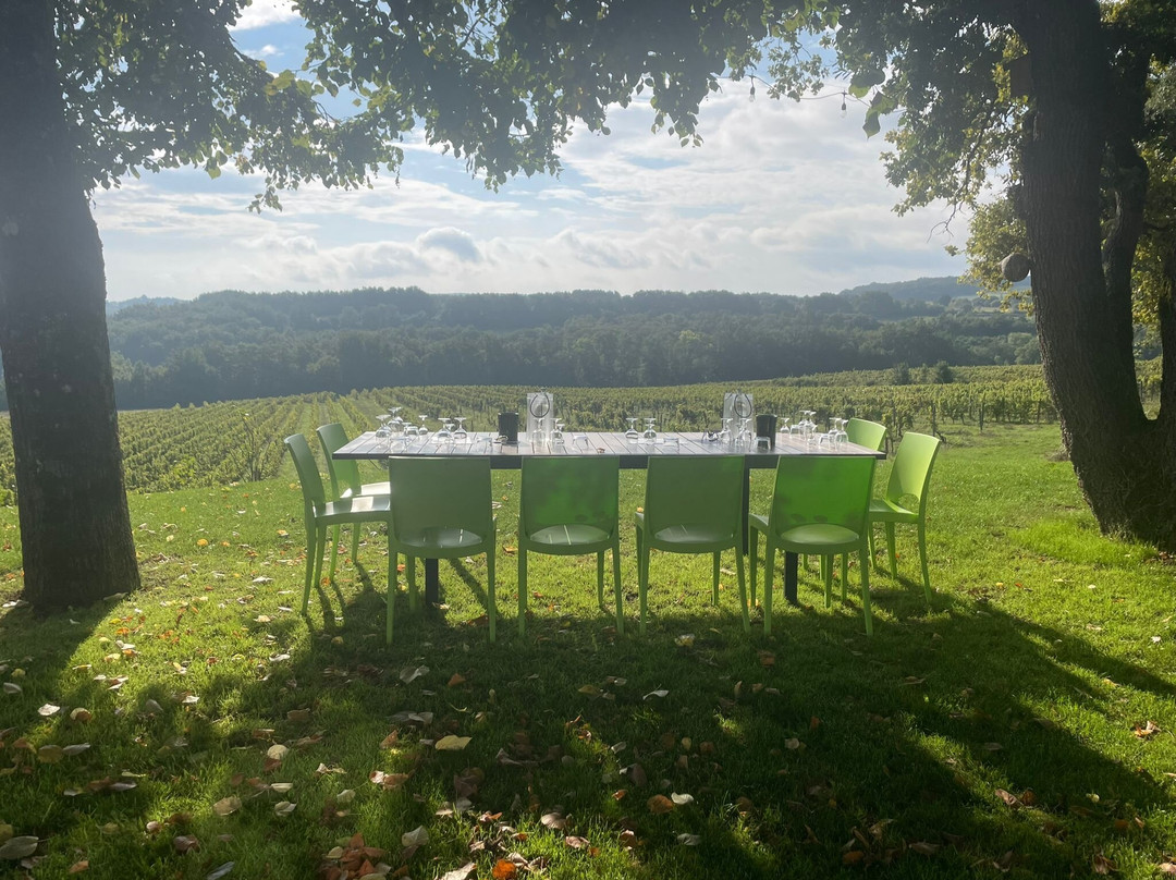 Bergerac Wine Tours景点图片