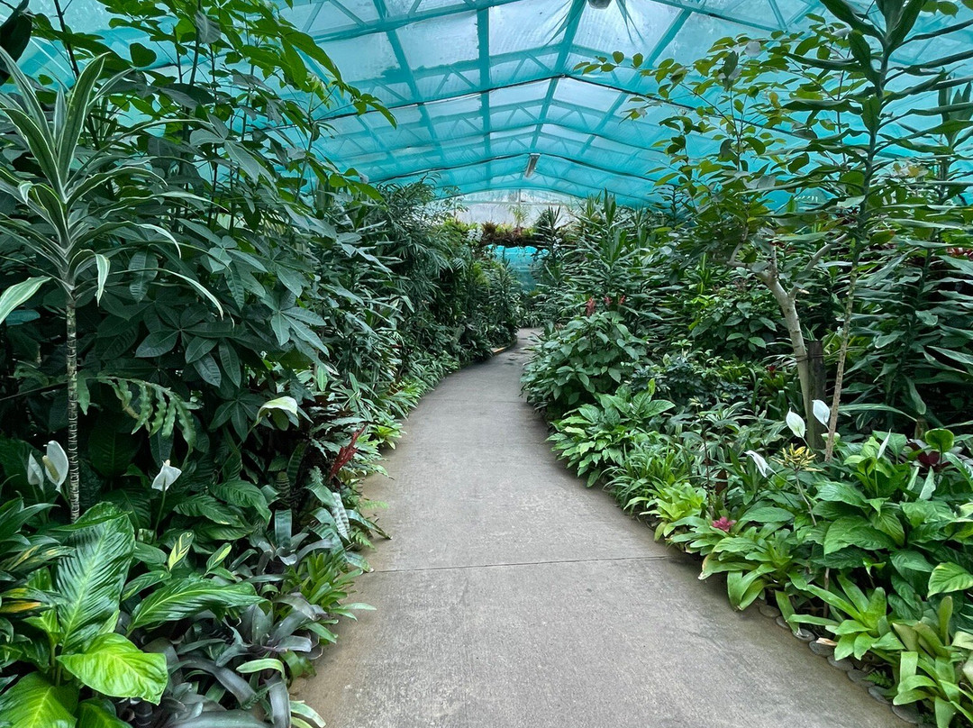 Duthie Park-阿伯丁必去景点