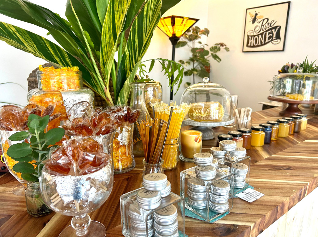 Bee Boys Bee Space-凯鲁瓦-柯纳必去景点