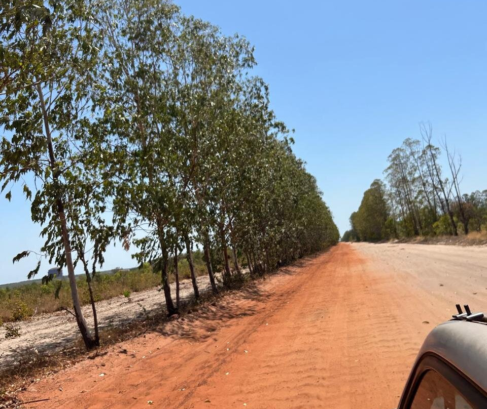 4x4 E NATUREZA ECOTURISMO-Palmas必去景点