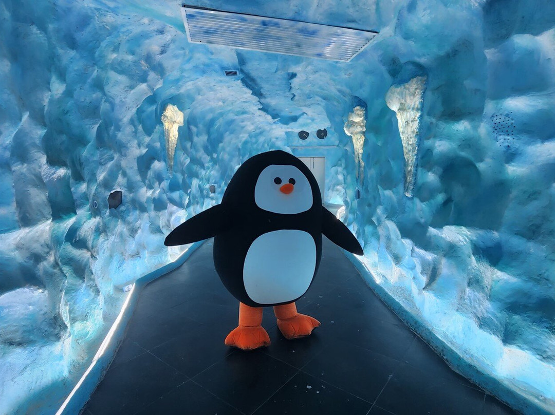 Ice Jungle Phu Quoc-An Thoi必去景点