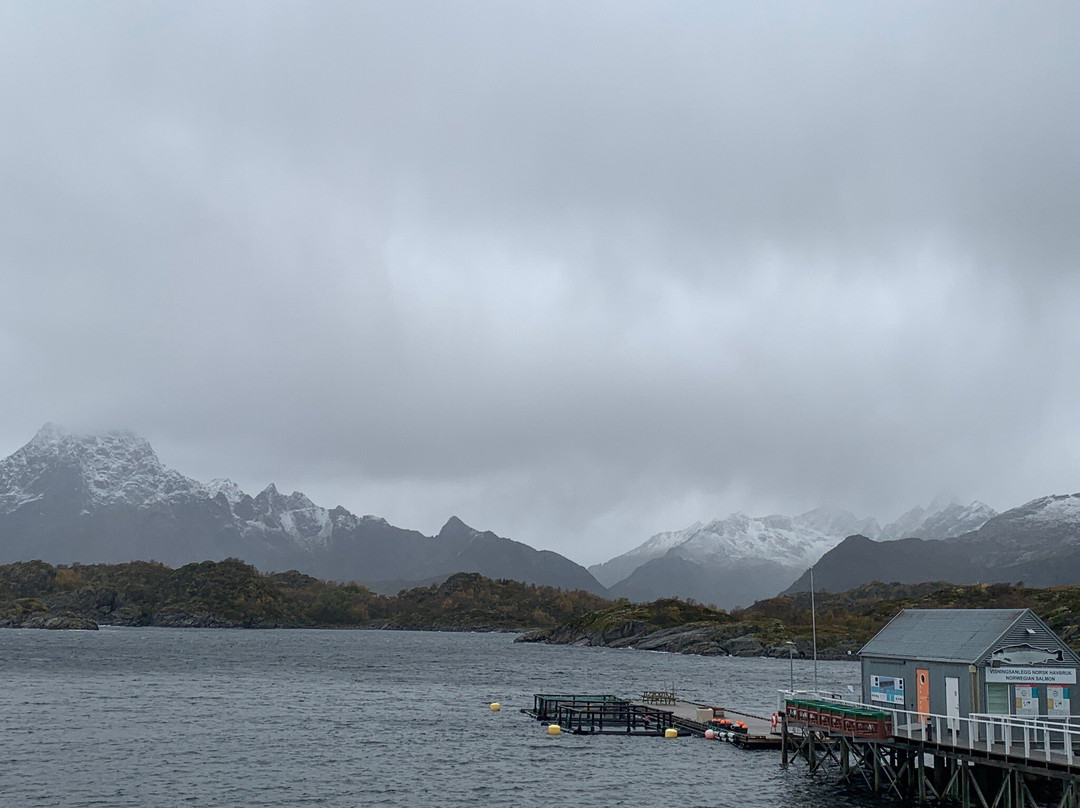 The Lofoten Aquarium景点图片
