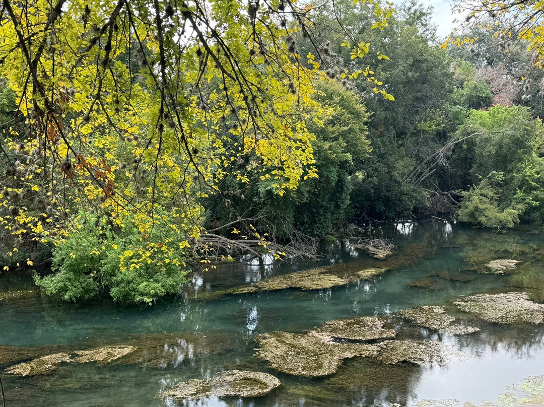 Hinman Island Park-新布朗费尔斯必去景点