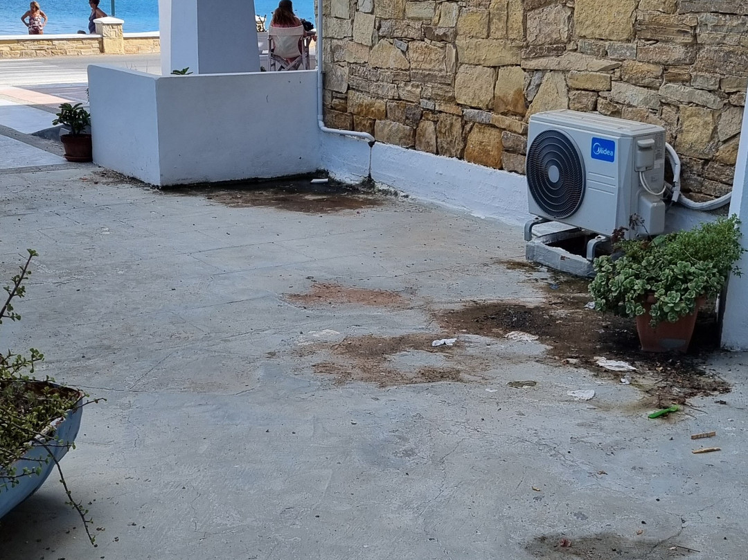 Alea Mare Hotel主图