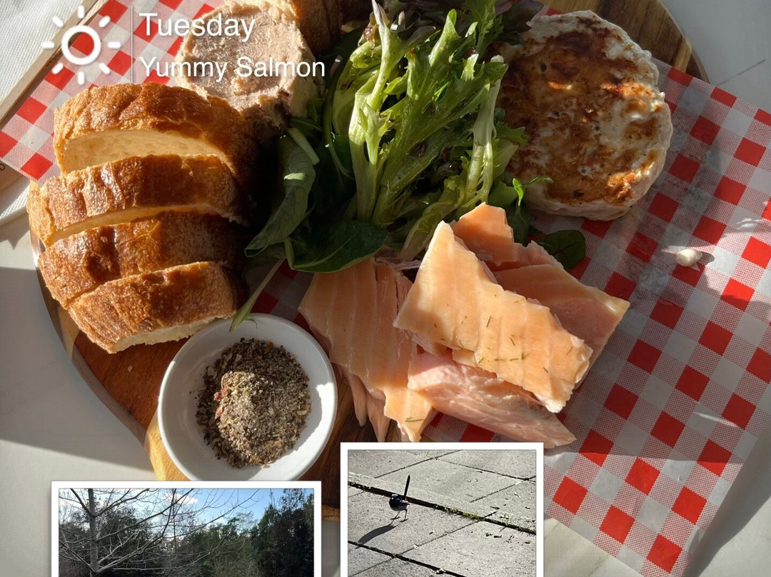 41 South Salmon and Ginseng Farm and Cafe-德洛兰恩必去景点