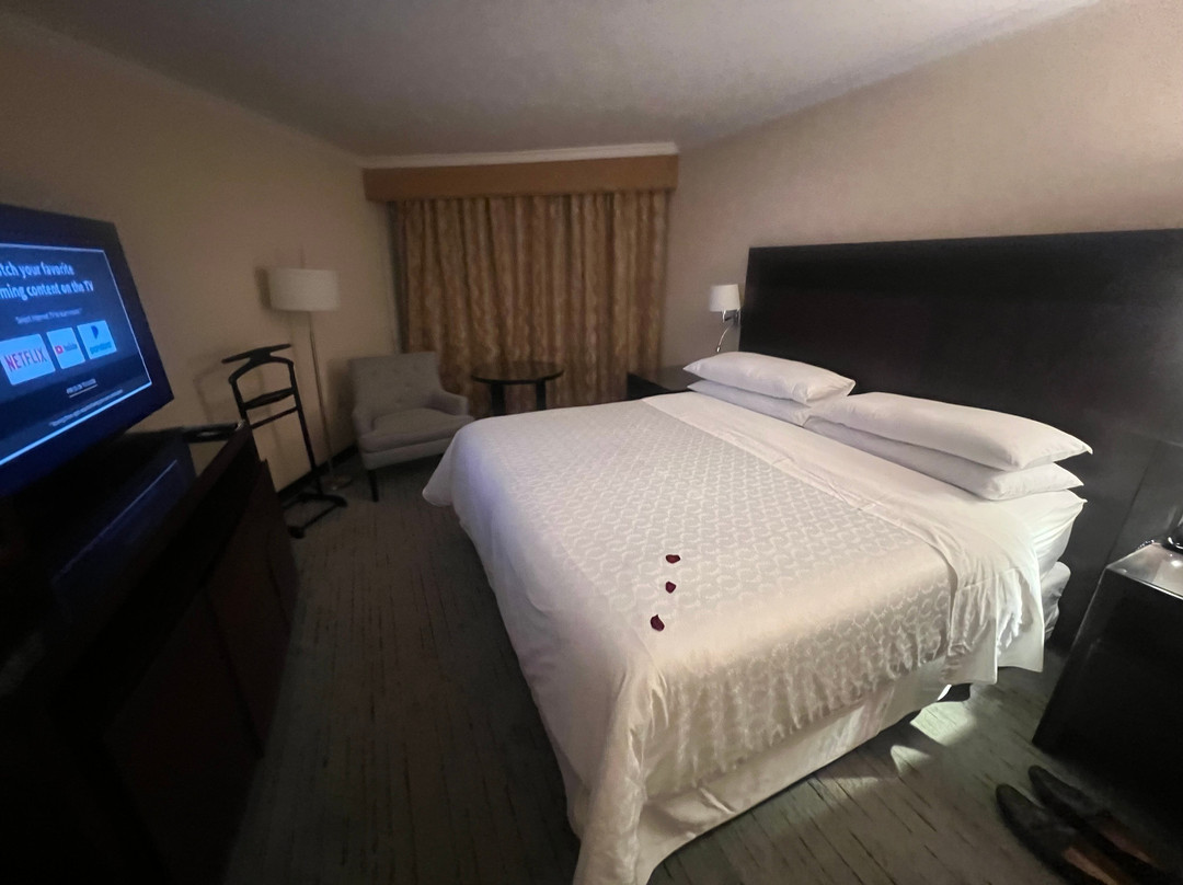 圣多明哥玫莉亚酒店主图