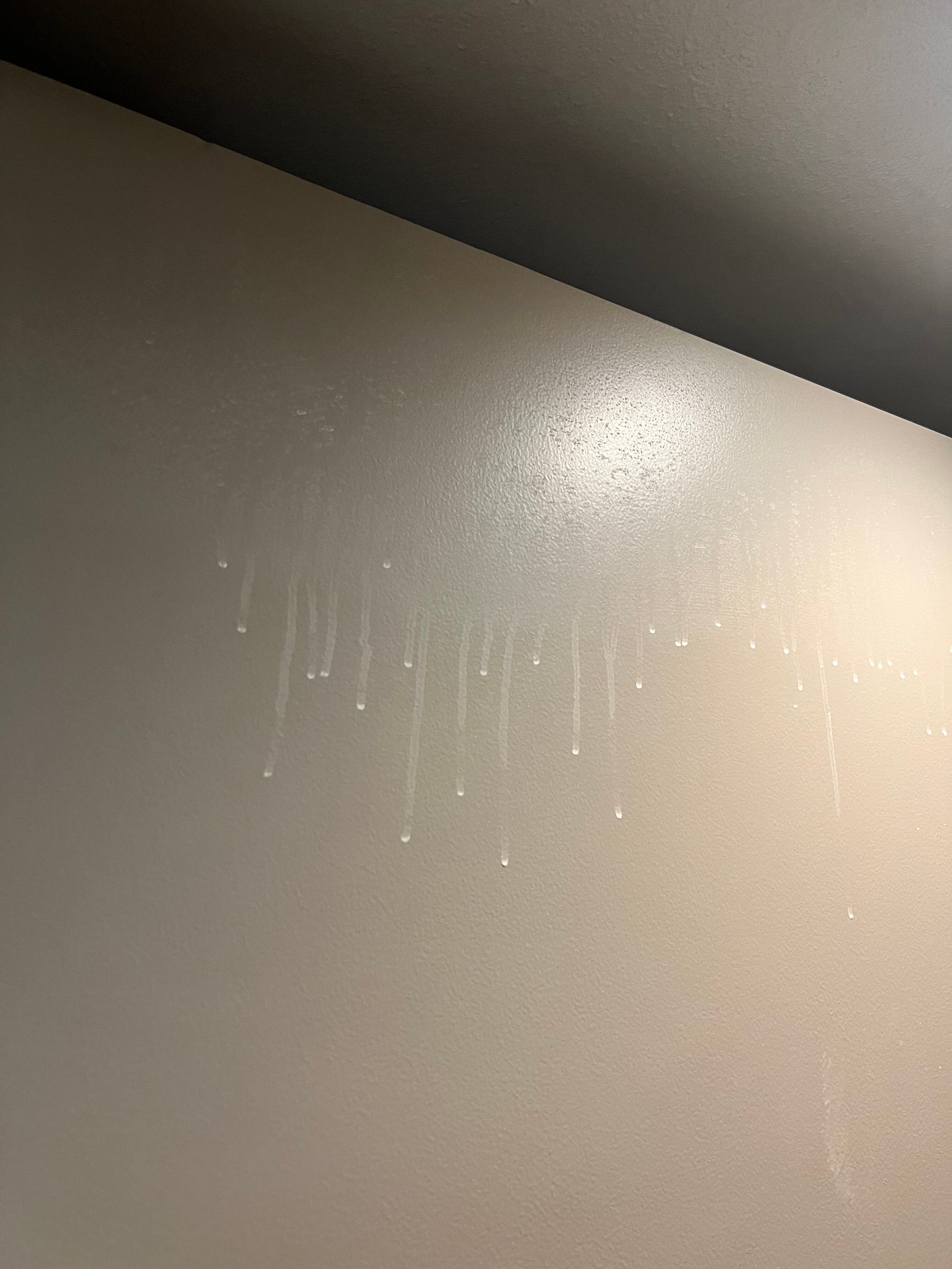 达拉斯/北阿灵顿/大草原凯悦嘉轩酒店-客卧