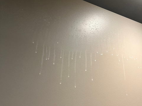 达拉斯/北阿灵顿/大草原凯悦嘉轩酒店主图