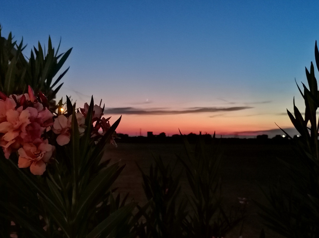 Hotel&Residence Federiciano主图