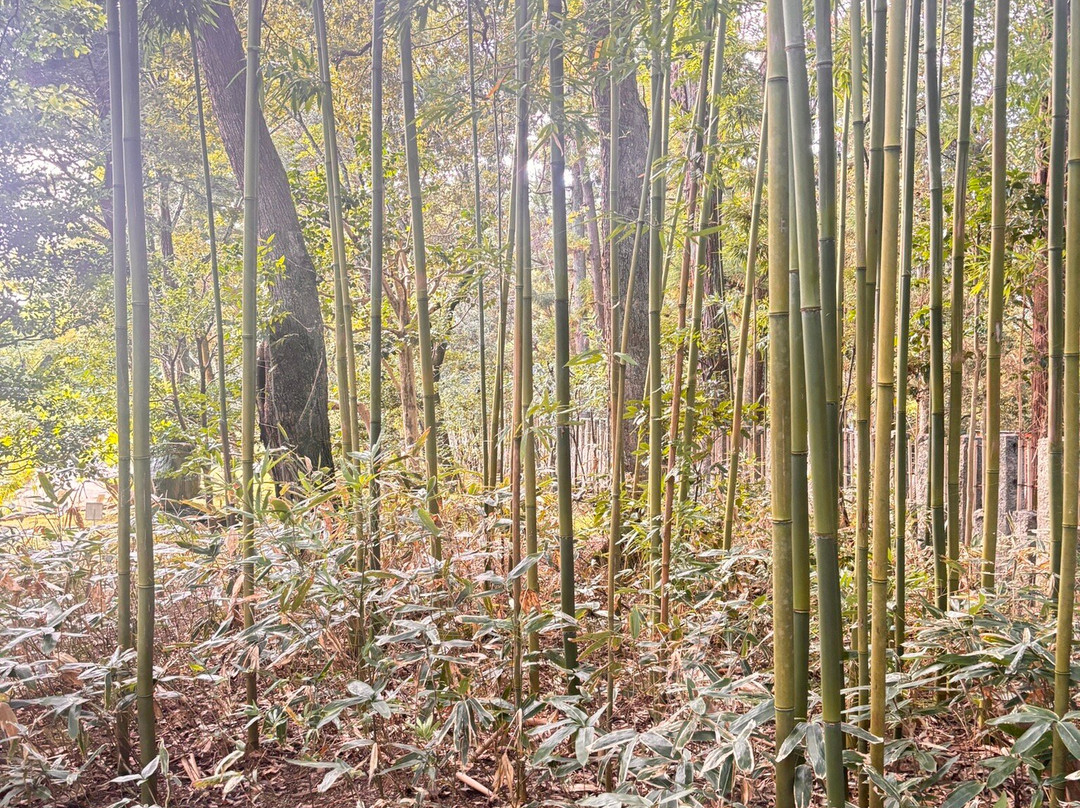 Manyo Botanical Garden-市川市必去景点