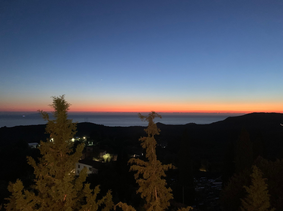 Restaurant Marko Vuno