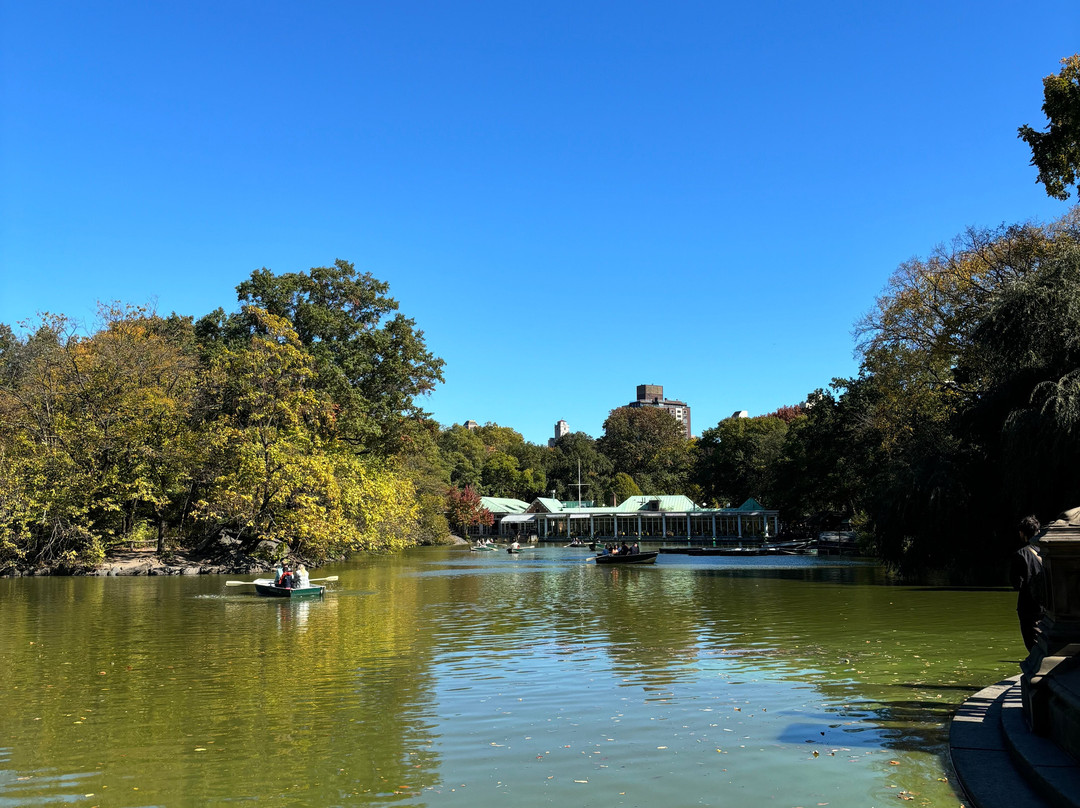 Gossip Girl Tours-纽约市必去景点