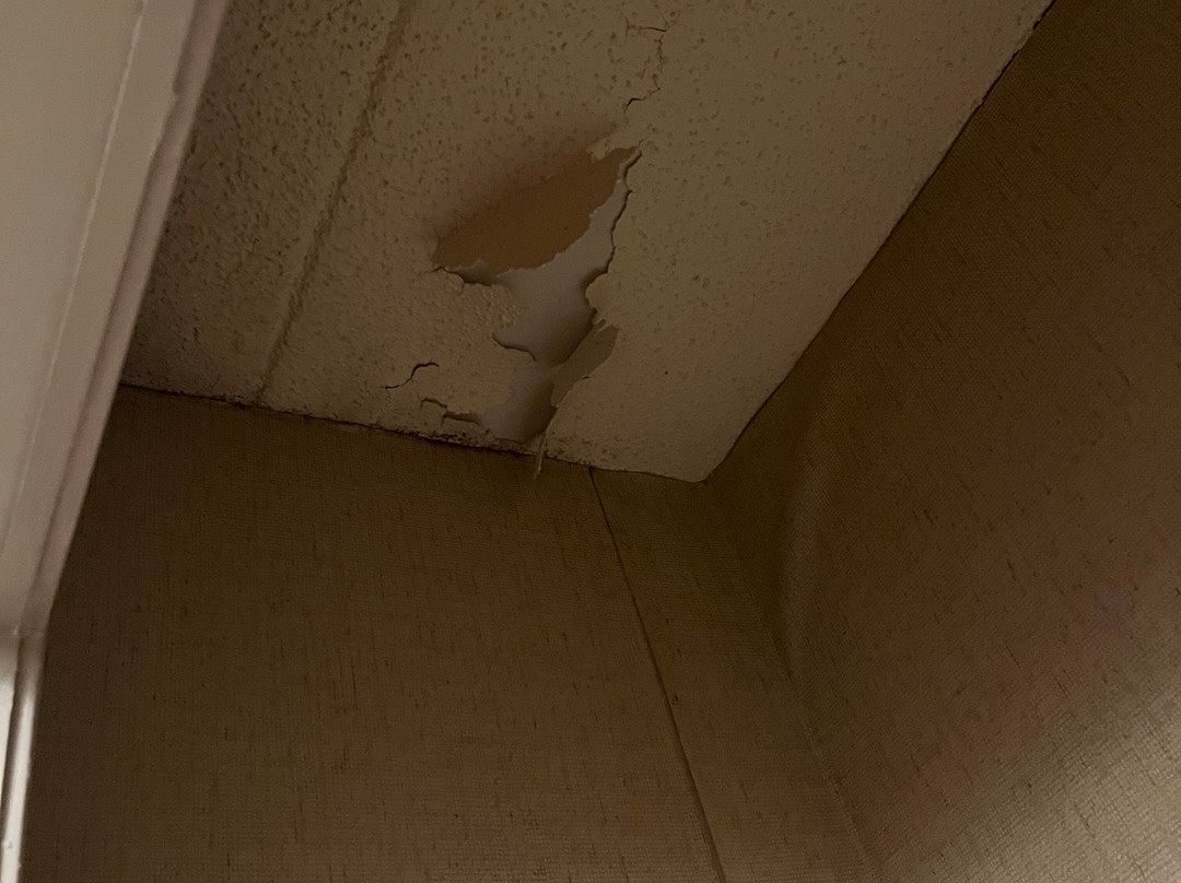 Comfort Inn & Suites主图