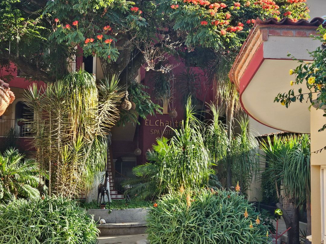 El Chante Spa Hotel主图