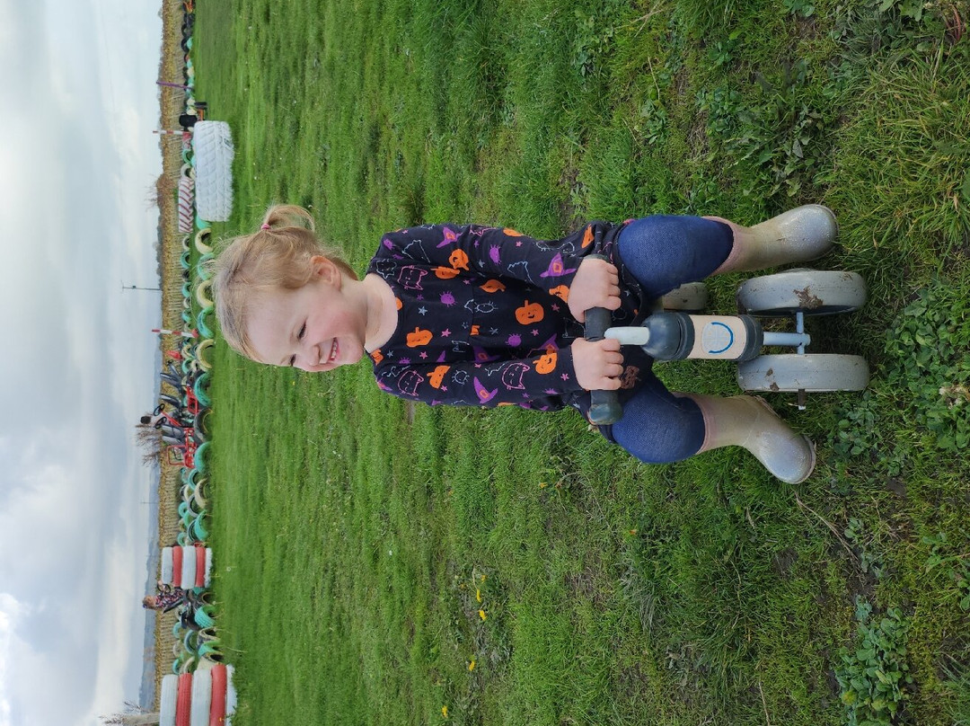 Marsh Maze And Fun Yard, Dymchurch Kent景点图片