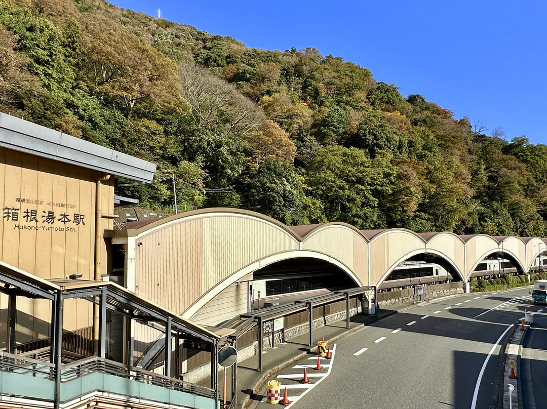 Odakyu Electric Railway-涩谷区必去景点