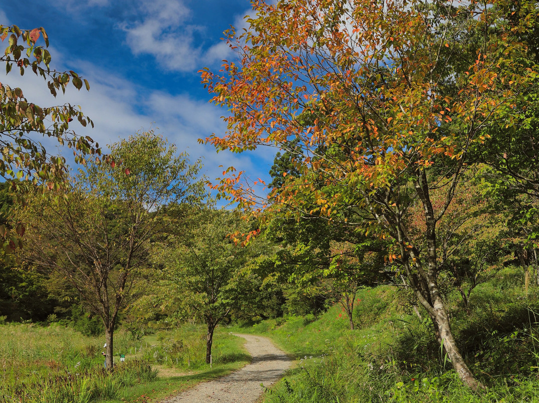 Yukiguni Garden Park-长冈市必去景点