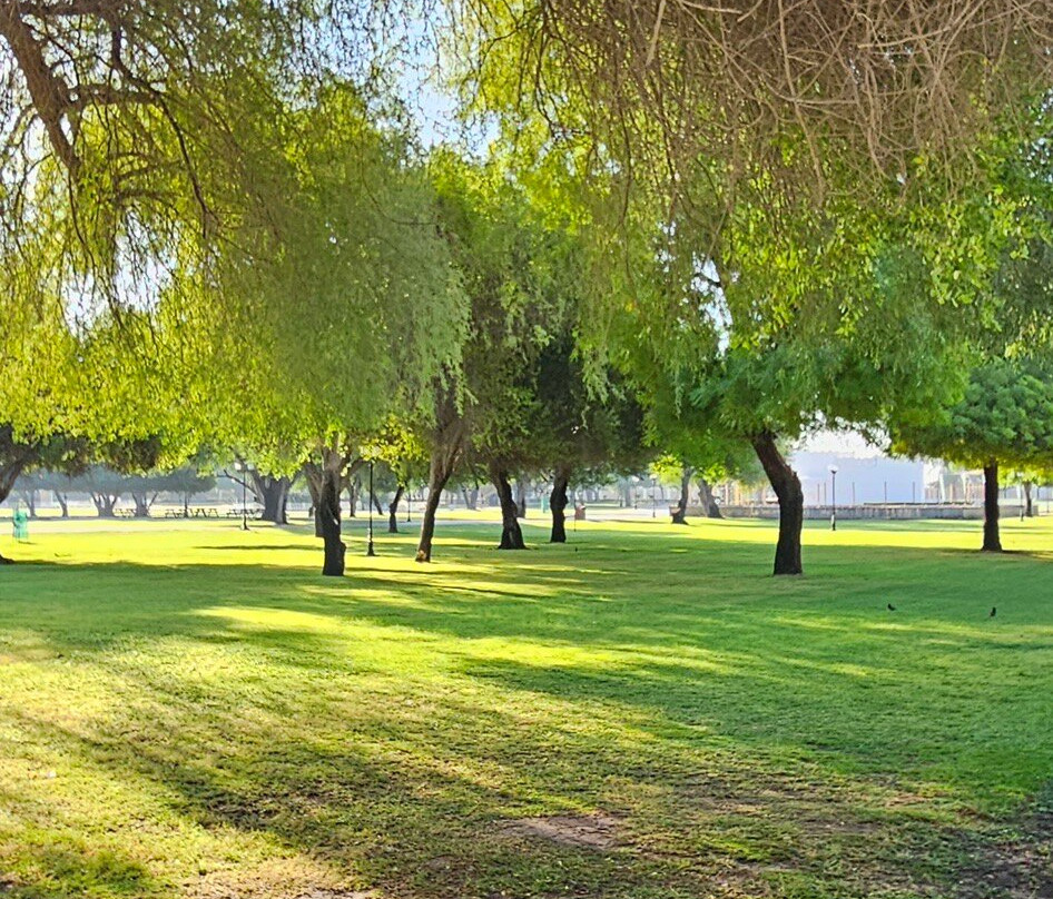 Hili Archaeological Park-艾因市必去景点
