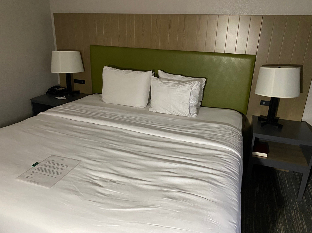 辛辛那提机场/厄兰格温盖特温德姆酒店主图