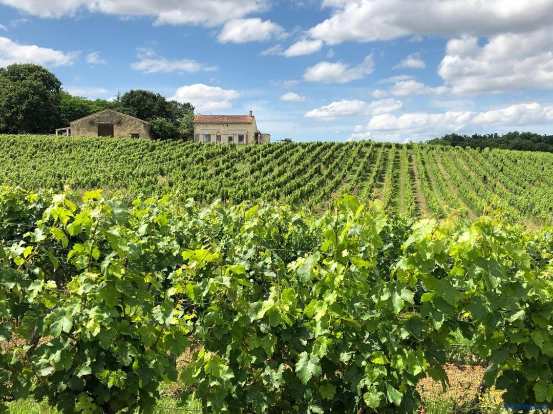 Verrieres & Vignes