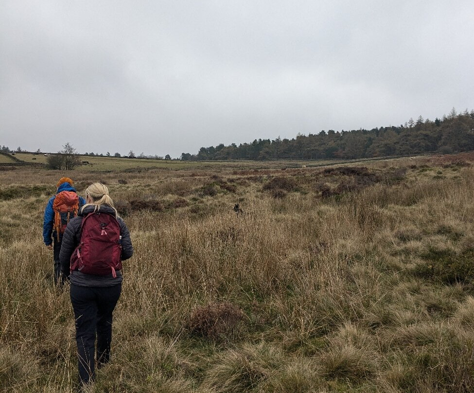 Venture Elements-谢菲尔德必去景点