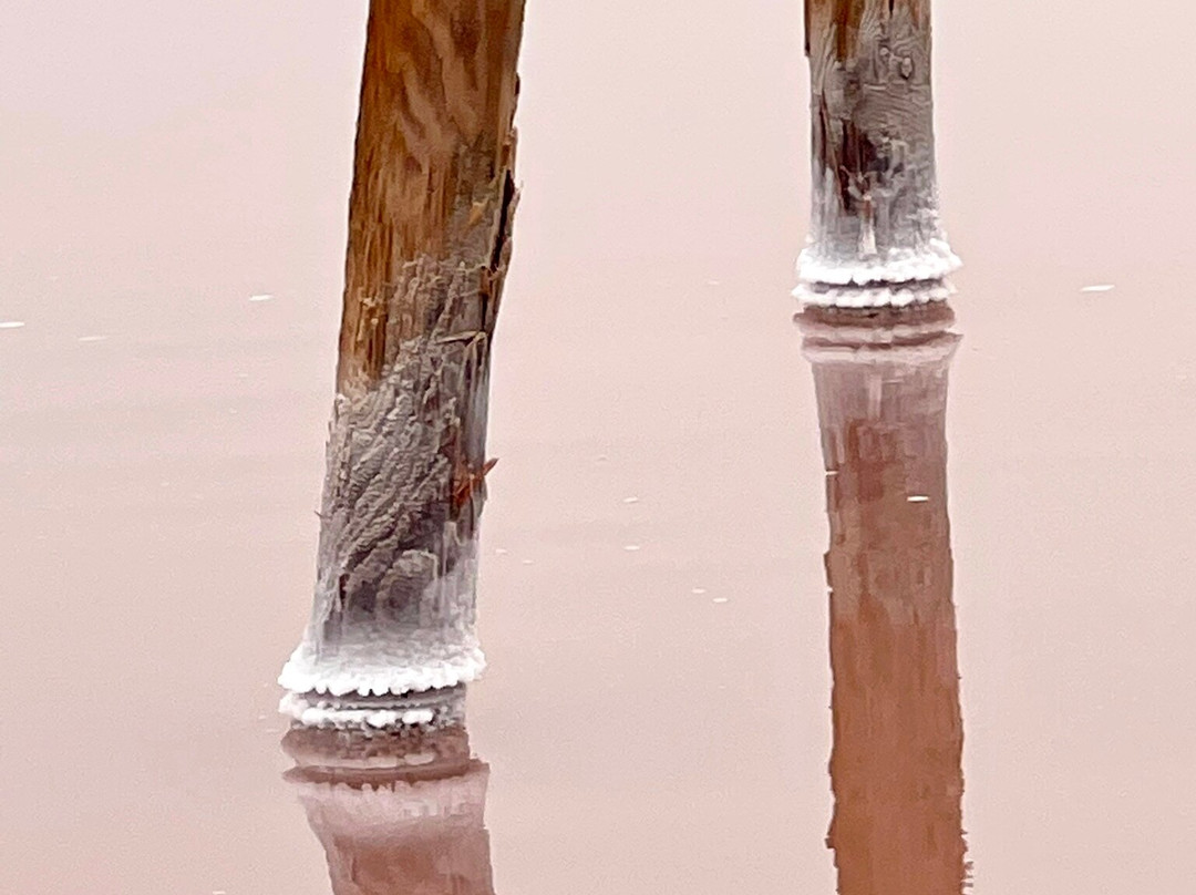 Laguna Salada de Torrevieja景点图片