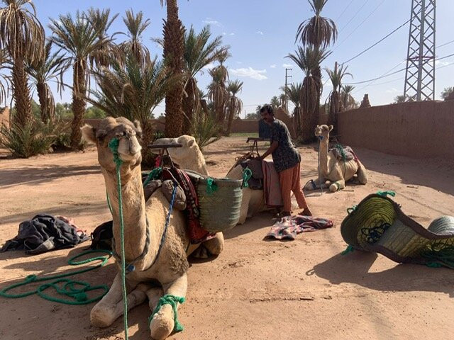 Le Chant des Dunes主图