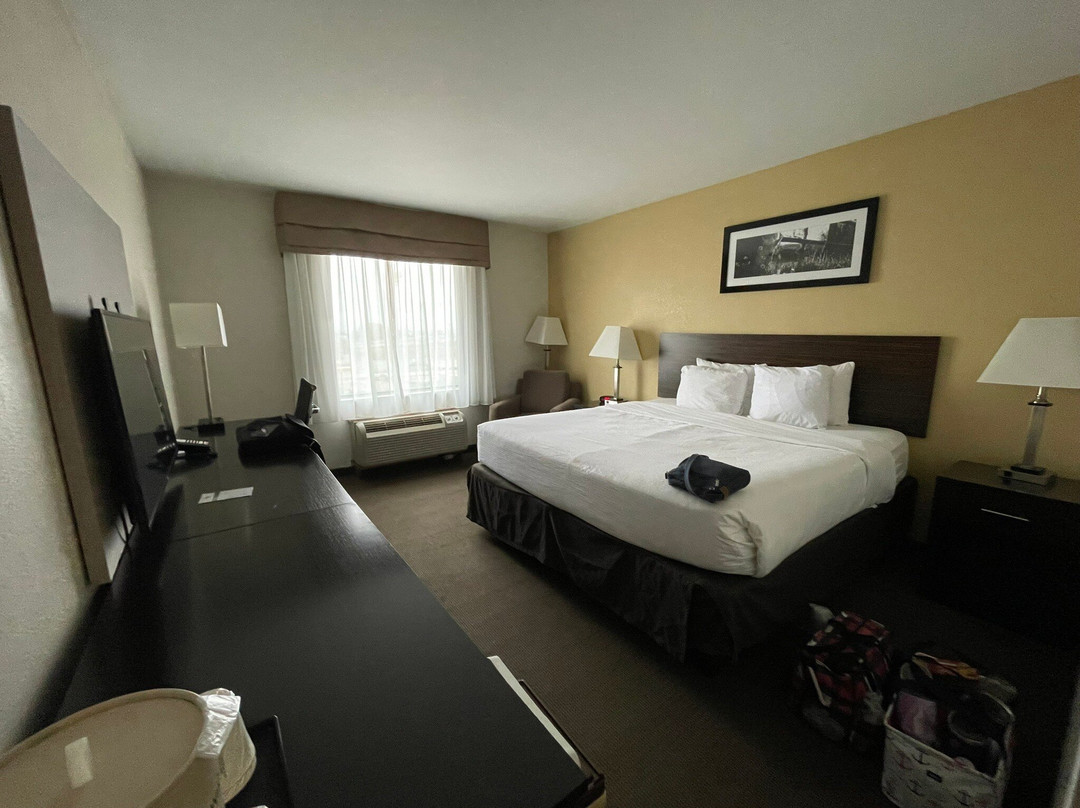 Wingate by Wyndham Bowling Green主图