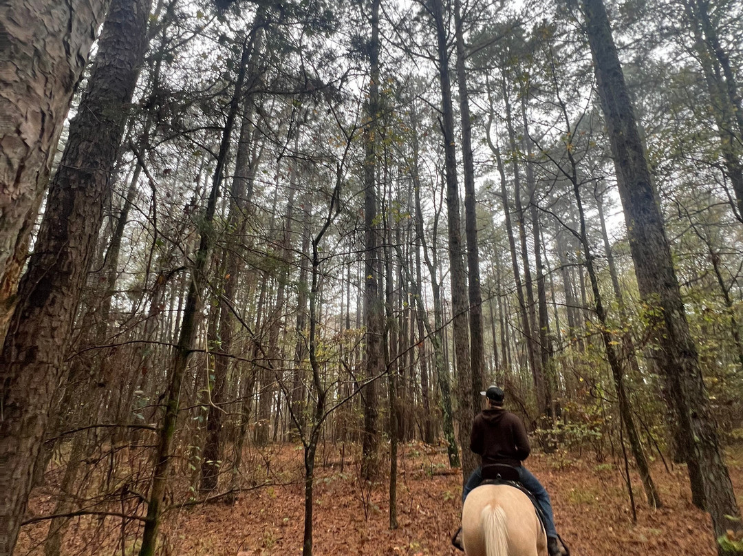 Barnyard Friends Peting Zoo-Morrilton必去景点