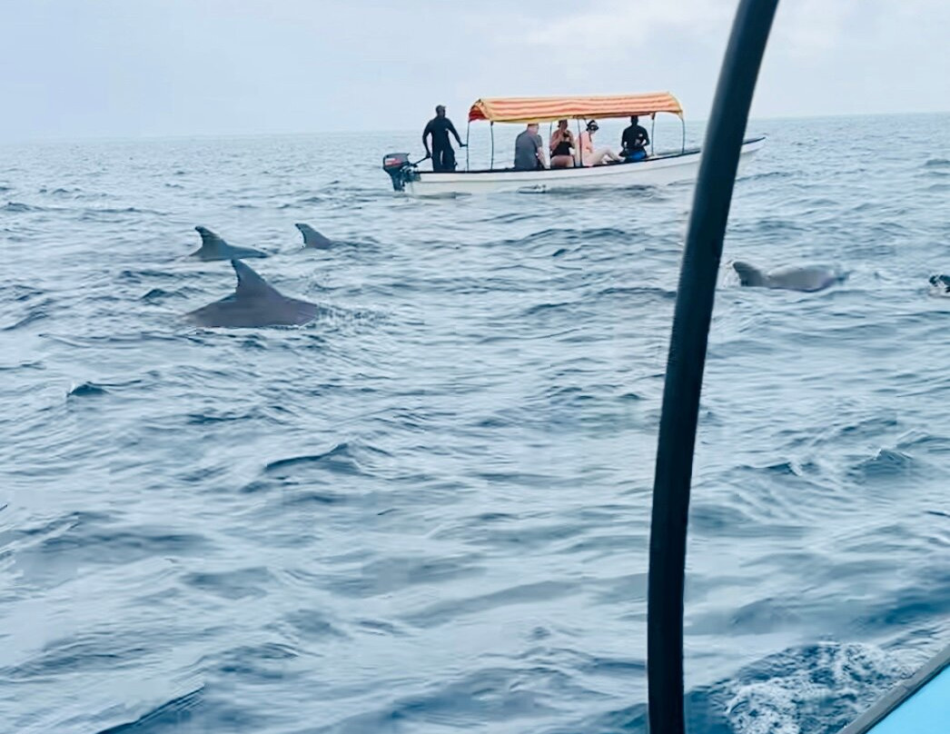 Gouruka excusions zanzibar & safaris measure-Pwani Mchangani必去景点