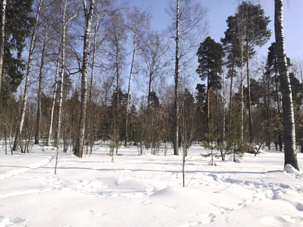 Gorodskoy Park景点图片