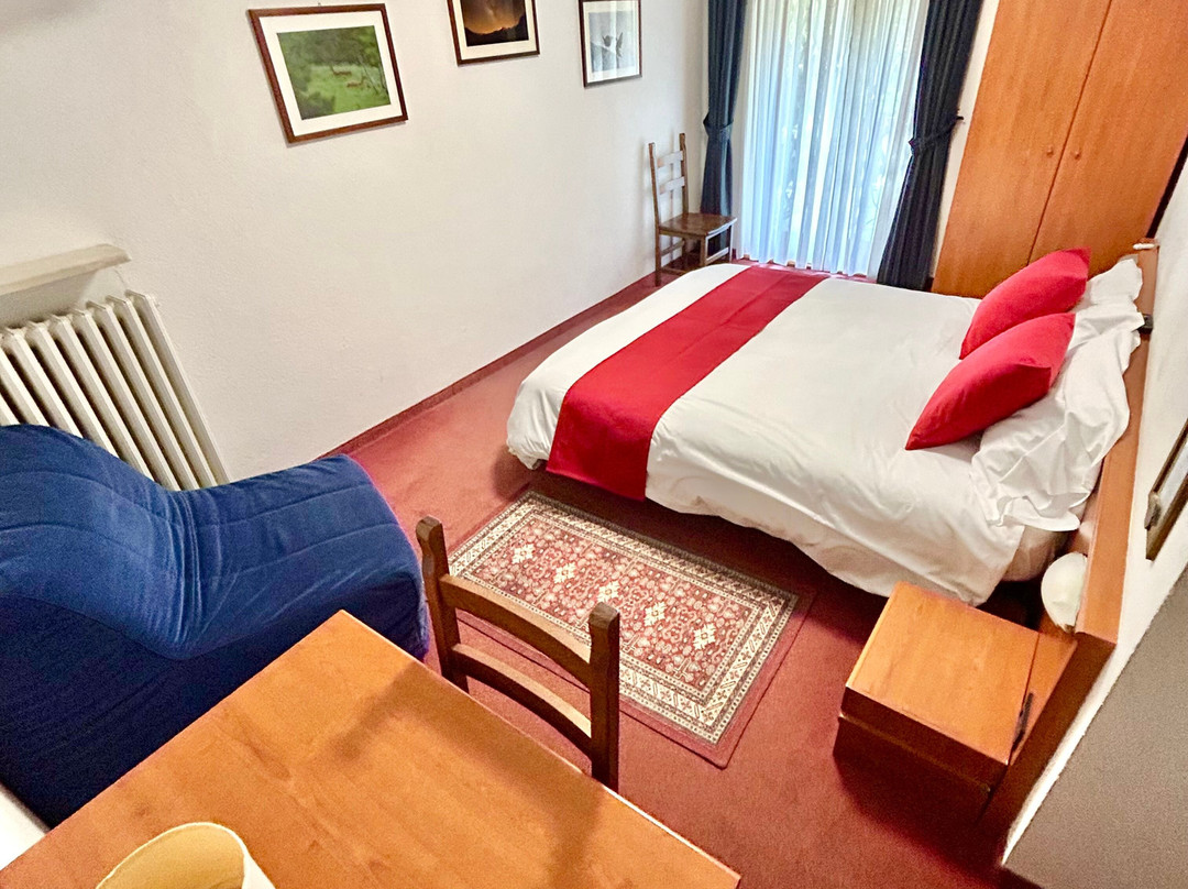 Bb La Nigritella主图