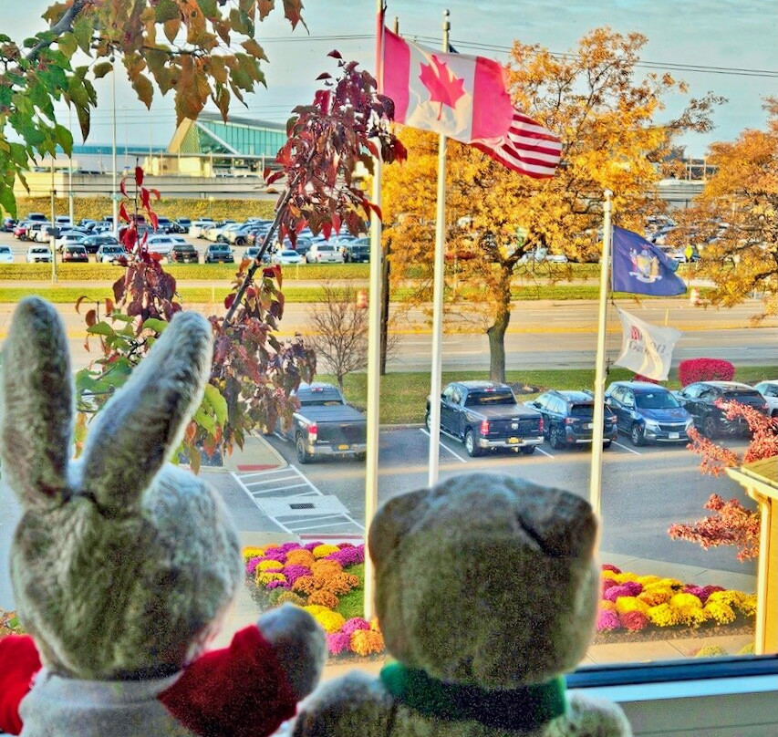 水牛城机场希尔顿花园酒店主图