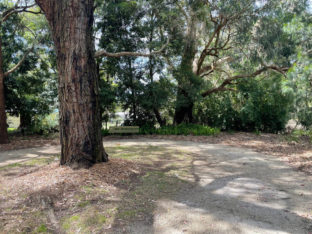 Ash Wednesday Memorial Park