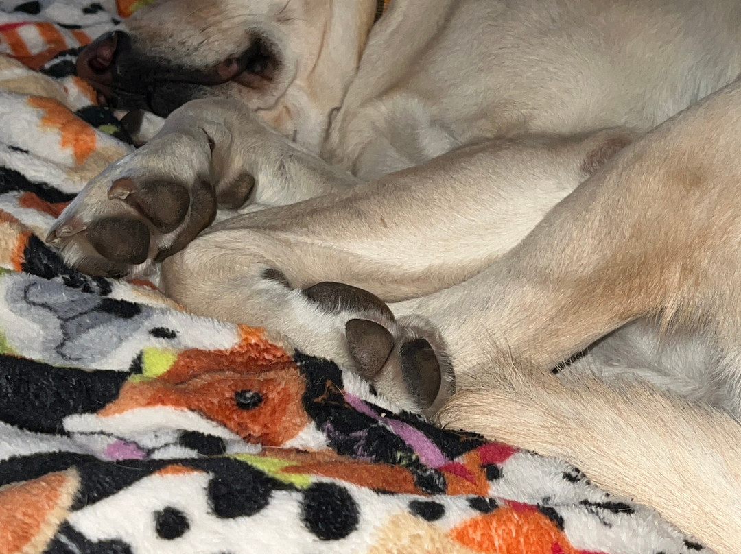 Quality Inn Blackwell I-35主图