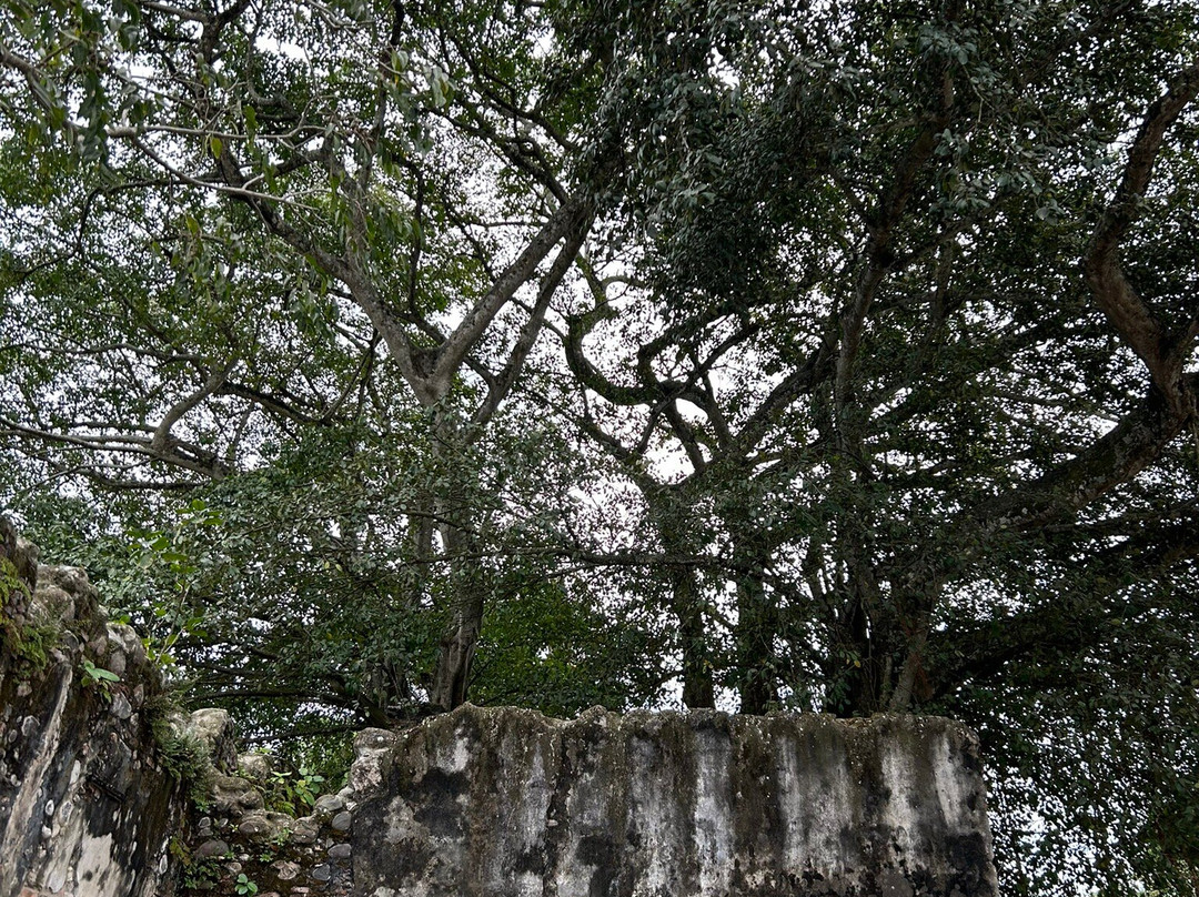 Casa de Hernan Cortes景点图片
