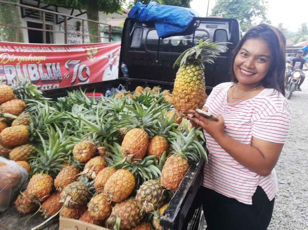 Bukit Lawang Friday Market-武吉拉旺必去景点