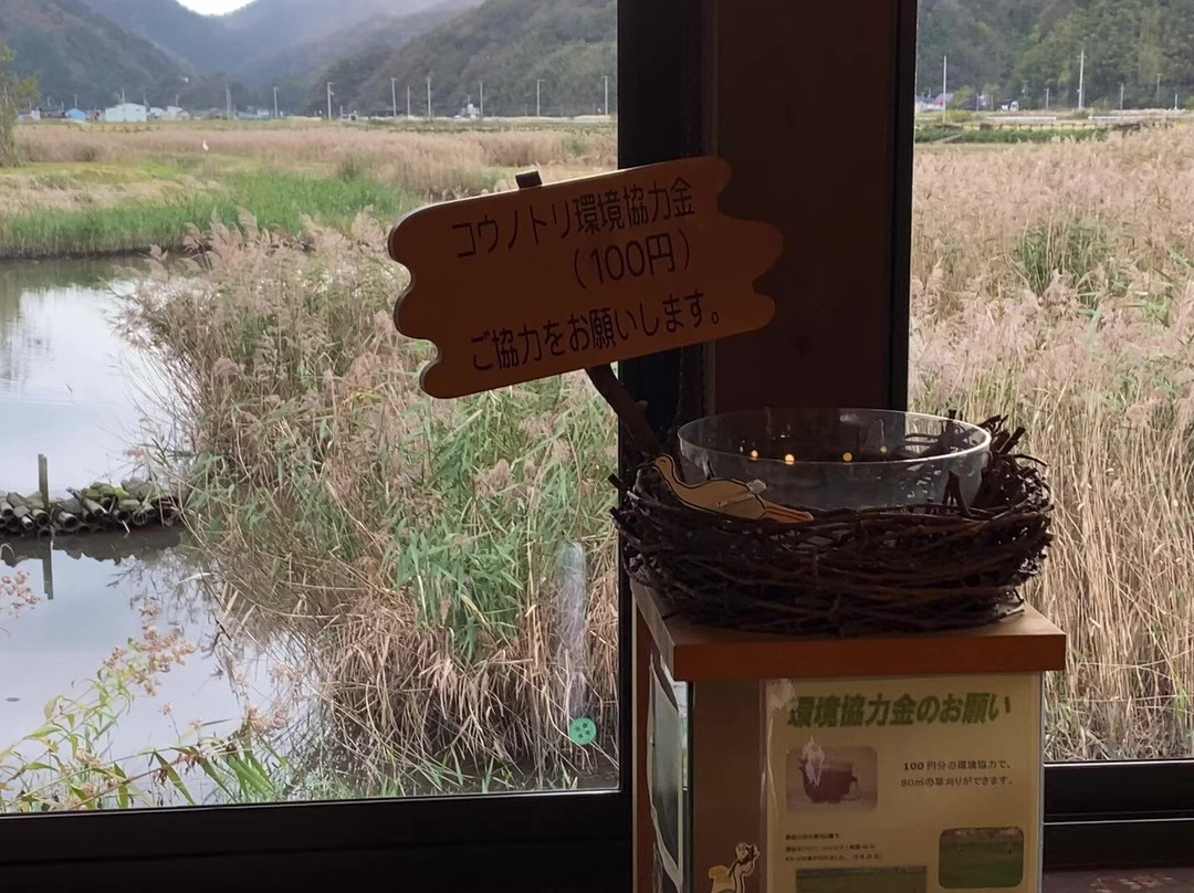Hachigoro's Tojima Wetland-丰冈市必去景点