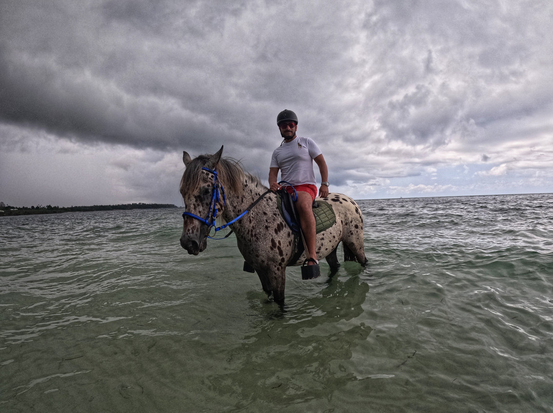 GoSmart Zanzibar Tours & Safari-Kiembi Samaki必去景点