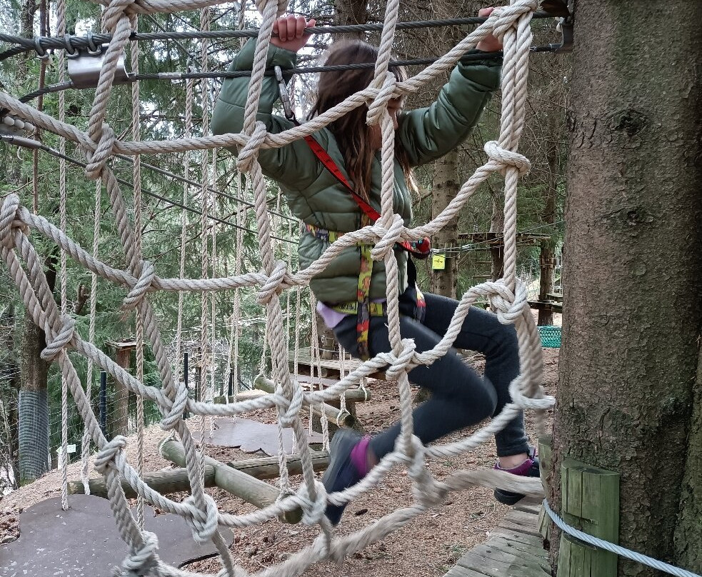 Molló Parc Aventura-Mollo必去景点