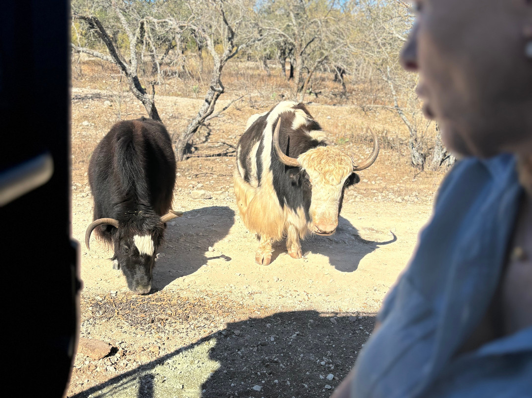 Y.O. Ranch Headquarters-Mountain Home必去景点