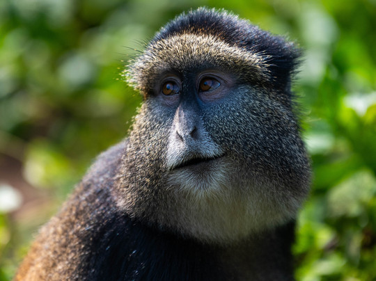 Heritage Safaris Ltd-吉佳利必去景点